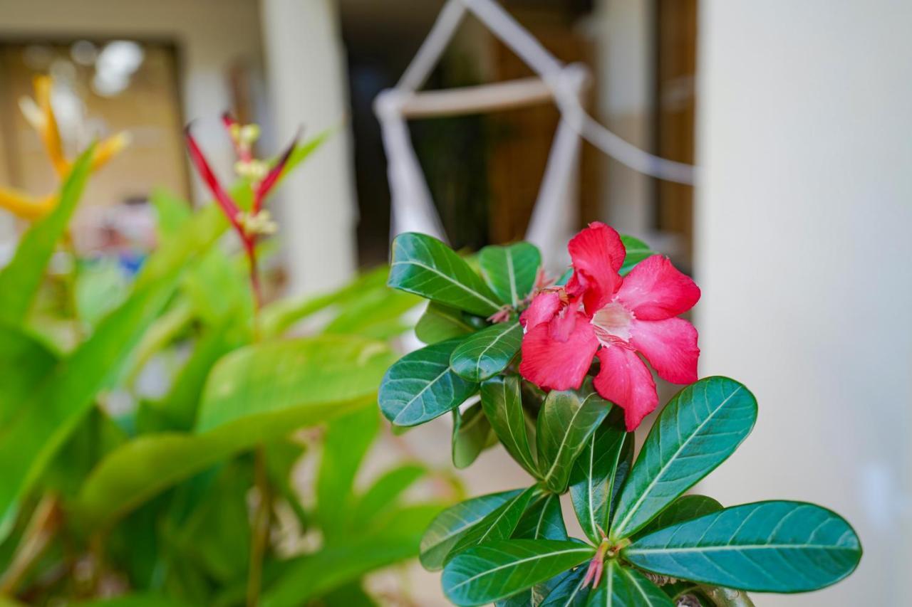 Royal Cottage Residence Lamai Beach  Luaran gambar